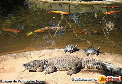 Parque das Aves 08