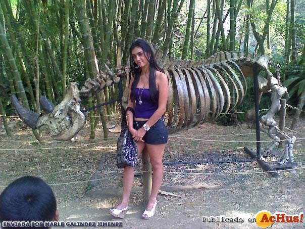 Zoologico de Cali 01
