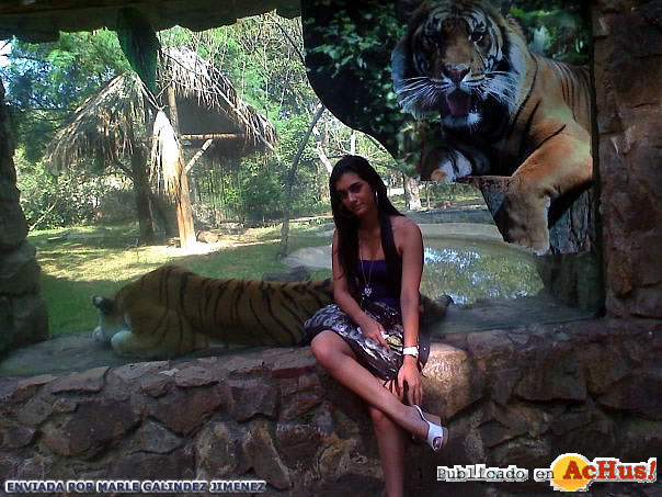 Zoologico de Cali 02