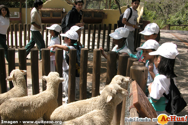 Granja Infantil