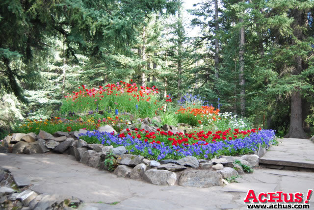 Cascades Garden 38