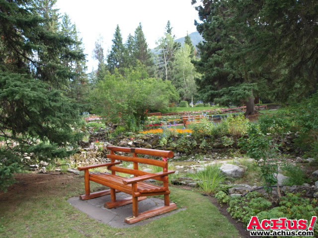 Cascades Garden 71