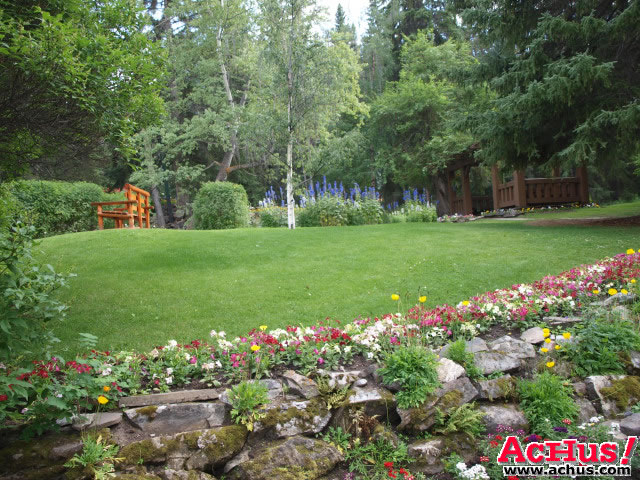 Cascades Garden 83