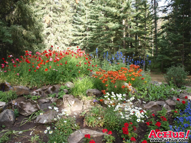 Cascades Garden 86