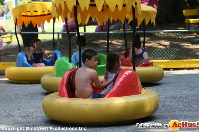 Bumper Cars