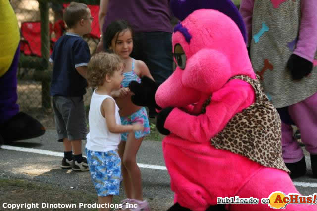 Meet Greet