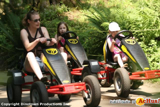 Pedal Cars
