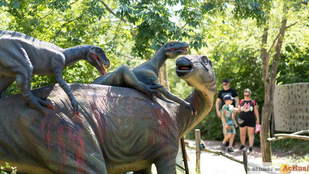 Dinopark Funtana 01