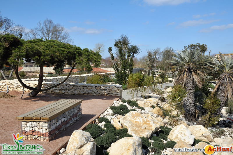 Les terrasses de mediterranee Terra Botanica