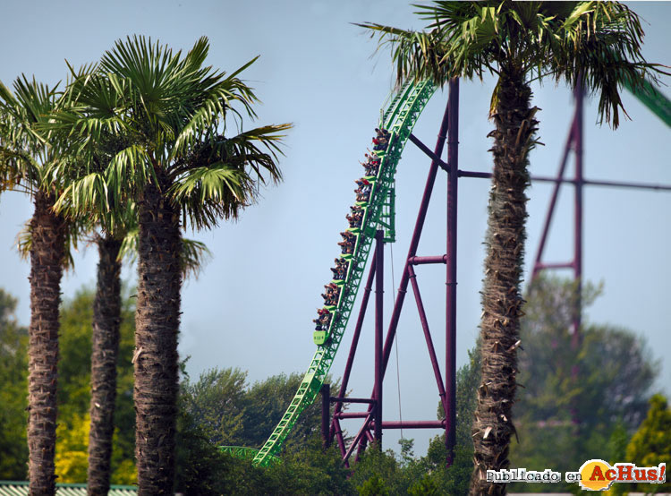 Goliath