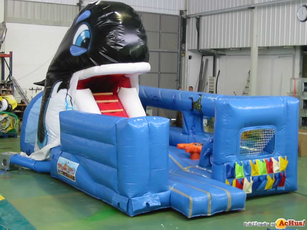 Baby Orca