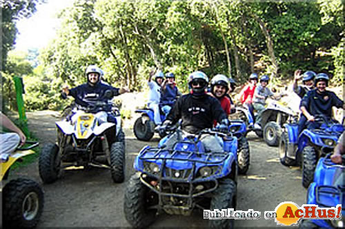 02 quads