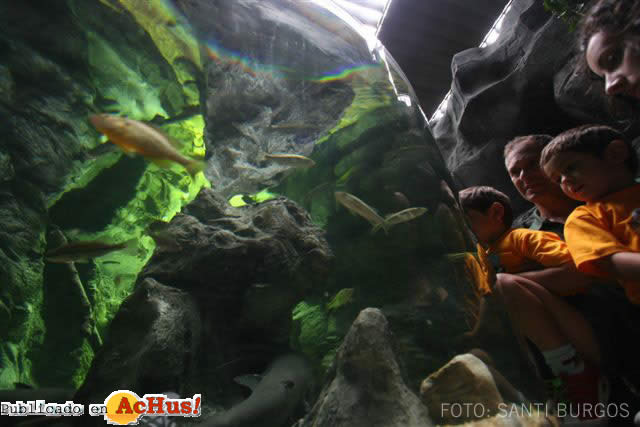 Acuario Gijon 02