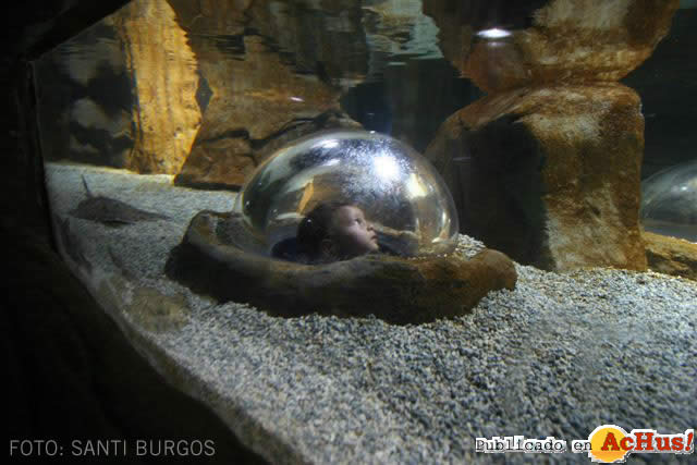 Acuario Gijon 03