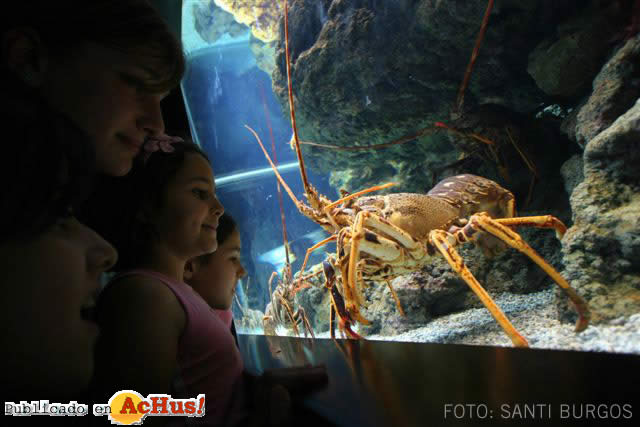 Acuario Gijon 04