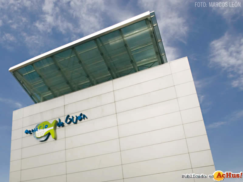 Acuario Gijon 08