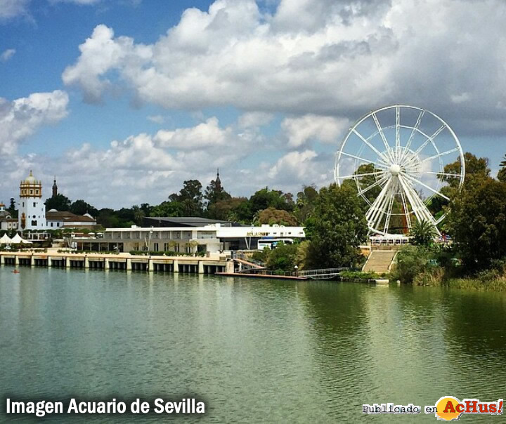 Acuario de Sevilla 03