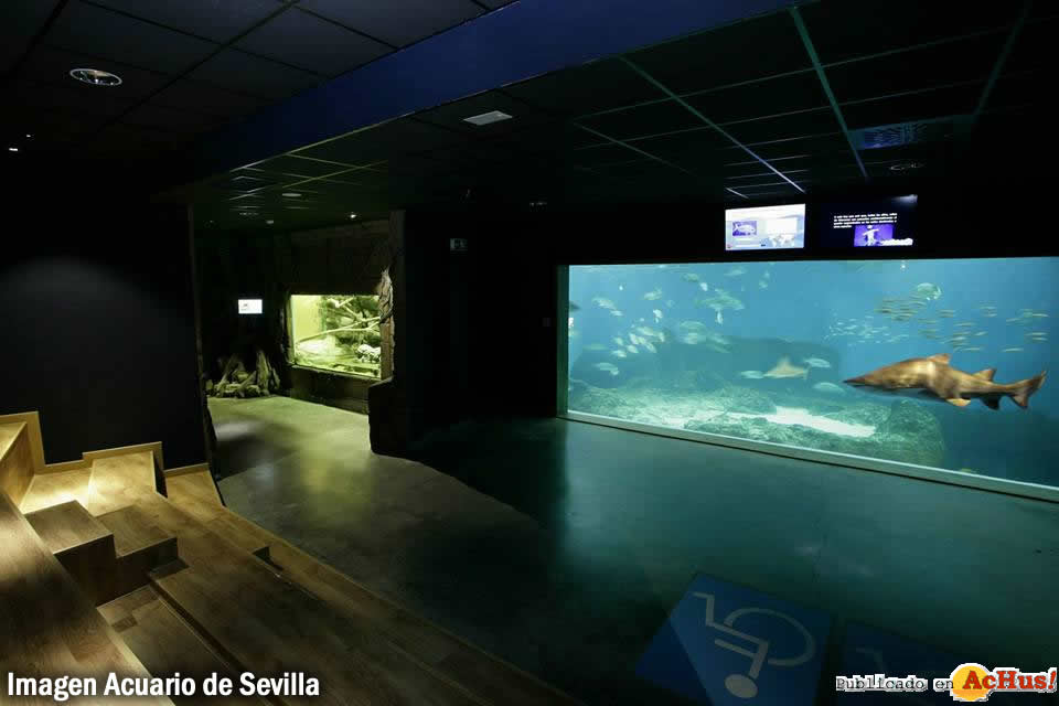 Acuario de Sevilla 04