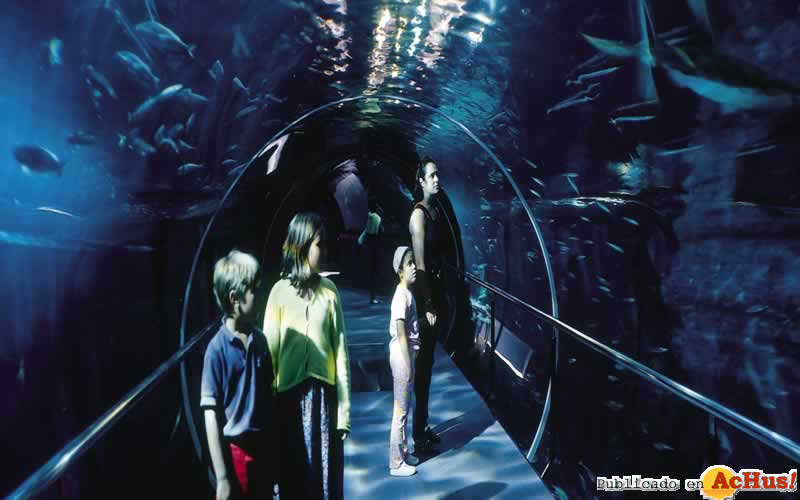 oceanario