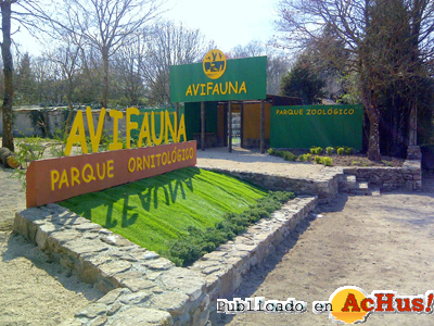 Avifauna