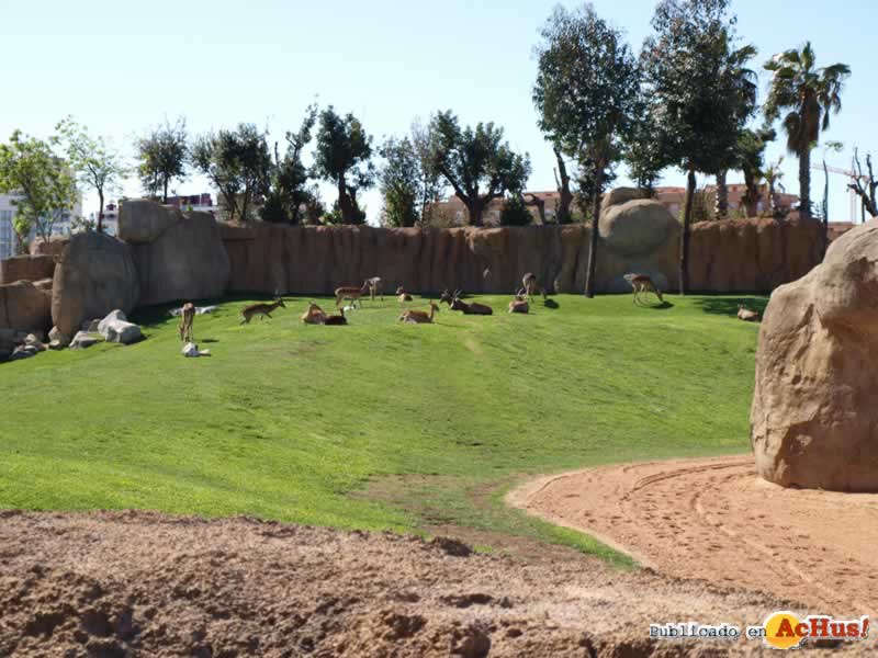 Bioparc 102