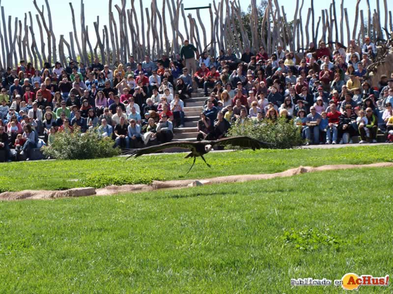 Bioparc 104