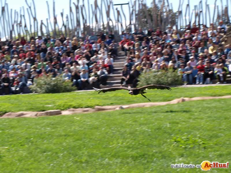 Bioparc 105