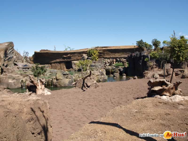 Bioparc 106