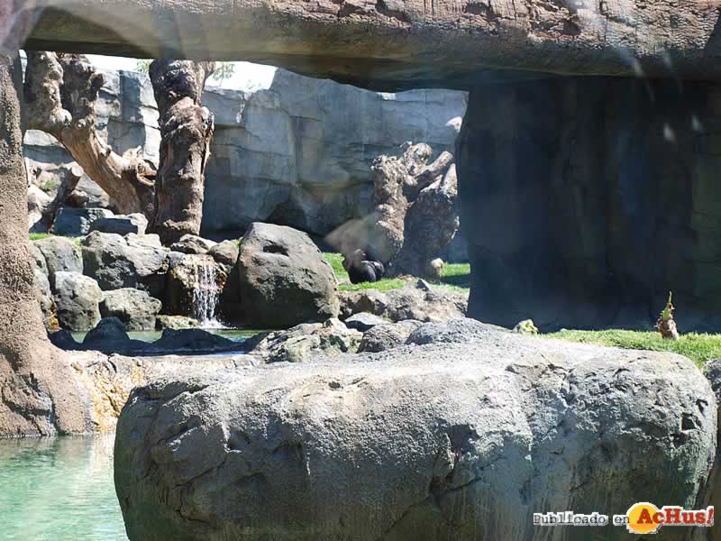 Bioparc 108