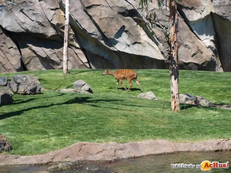 Bioparc 109