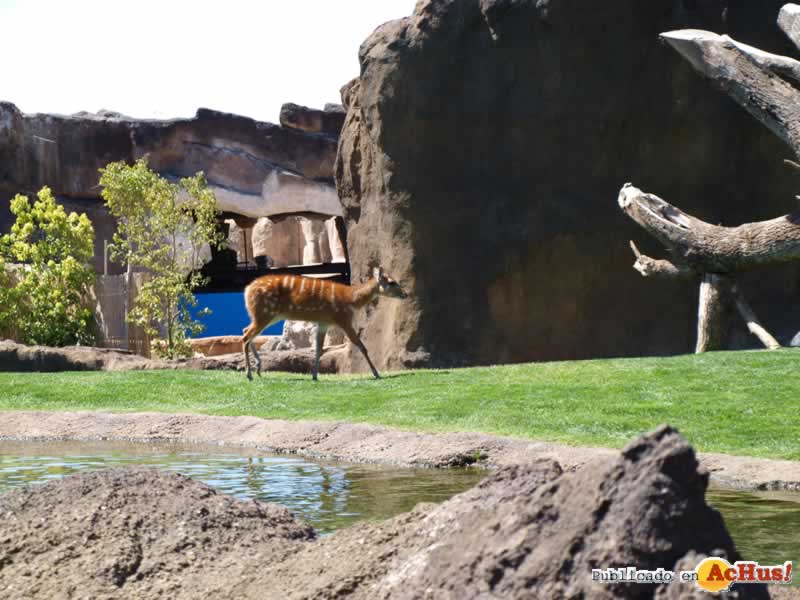 Bioparc 110
