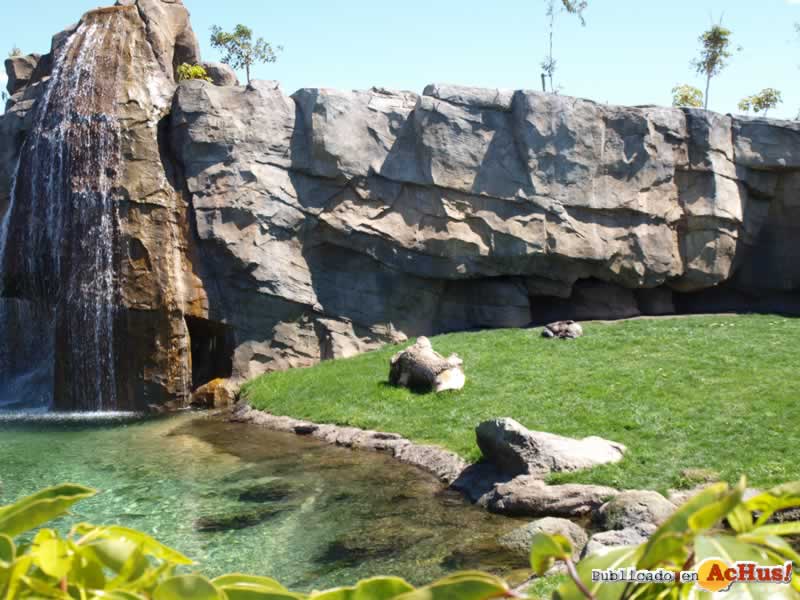 Bioparc 113