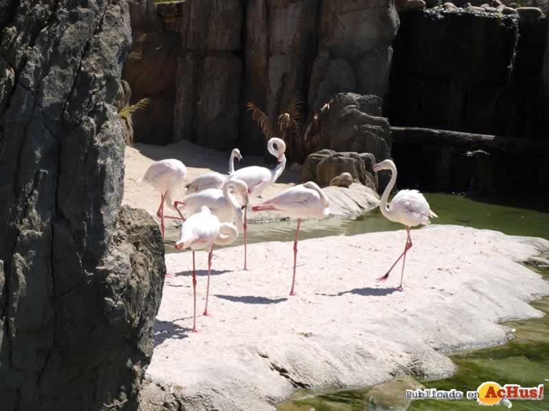 Bioparc 120