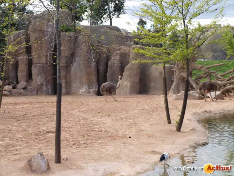 Bioparc 126