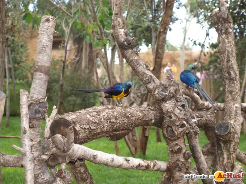 Bioparc 130