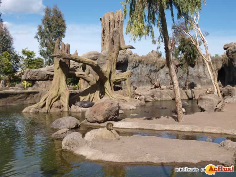 Bioparc 138