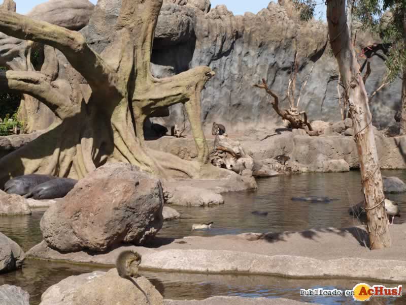 Bioparc 139