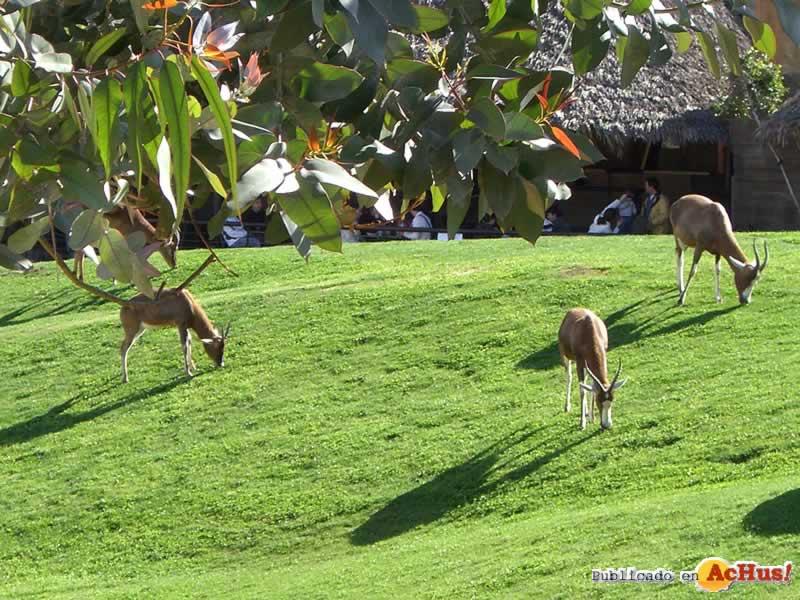 Bioparc 14