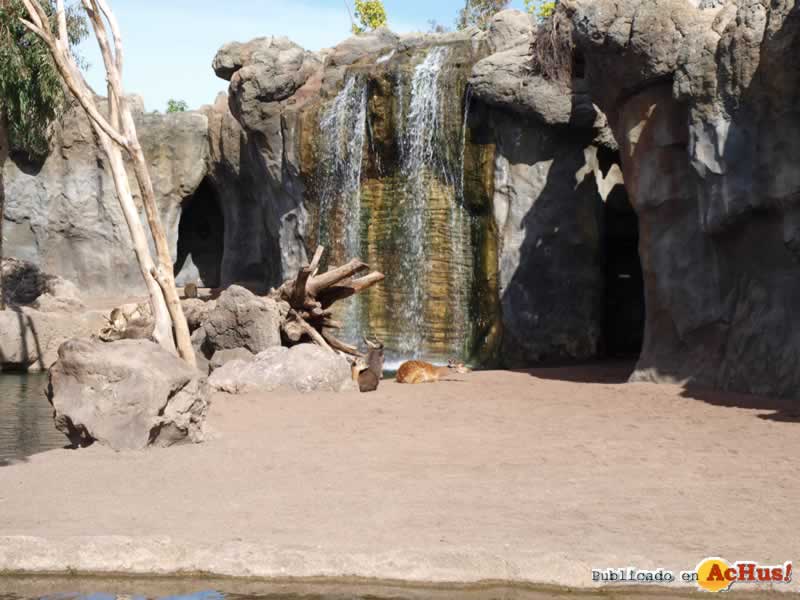 Bioparc 140