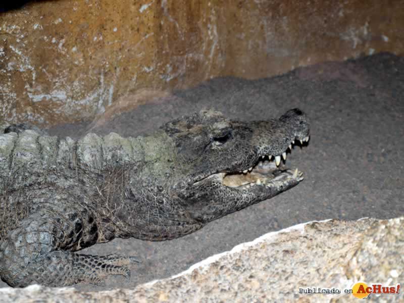 Bioparc 141