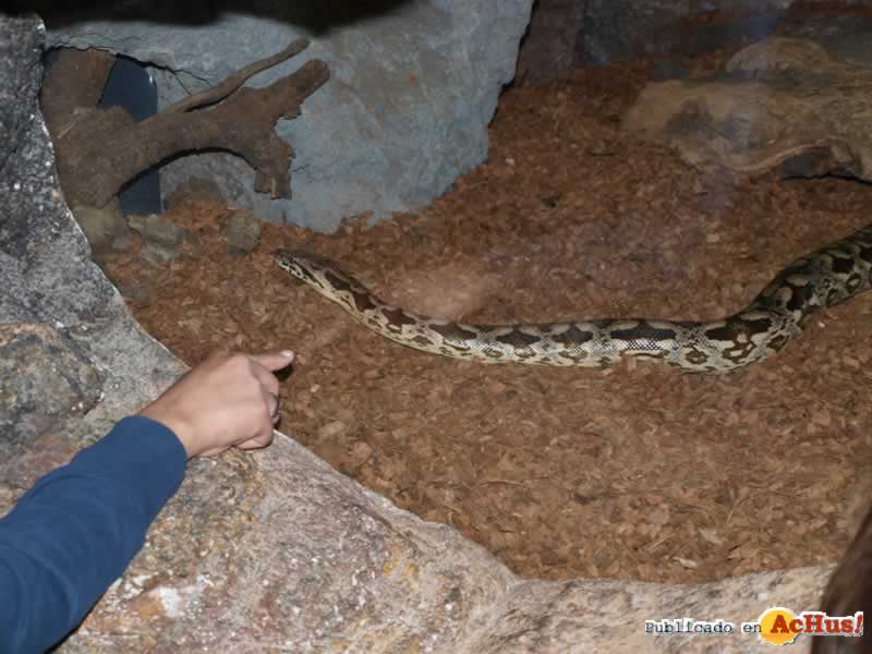 Bioparc 142