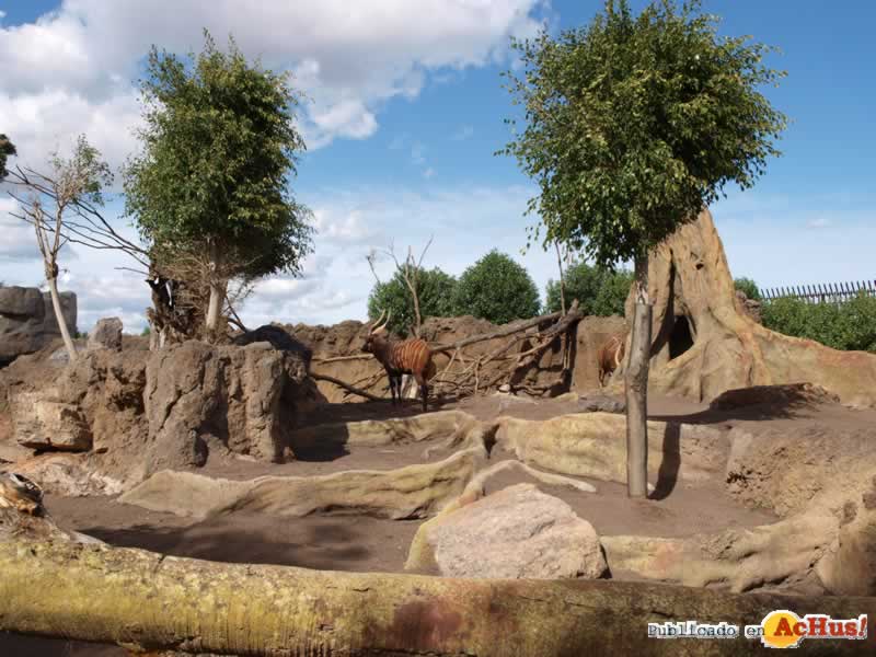 Bioparc 144