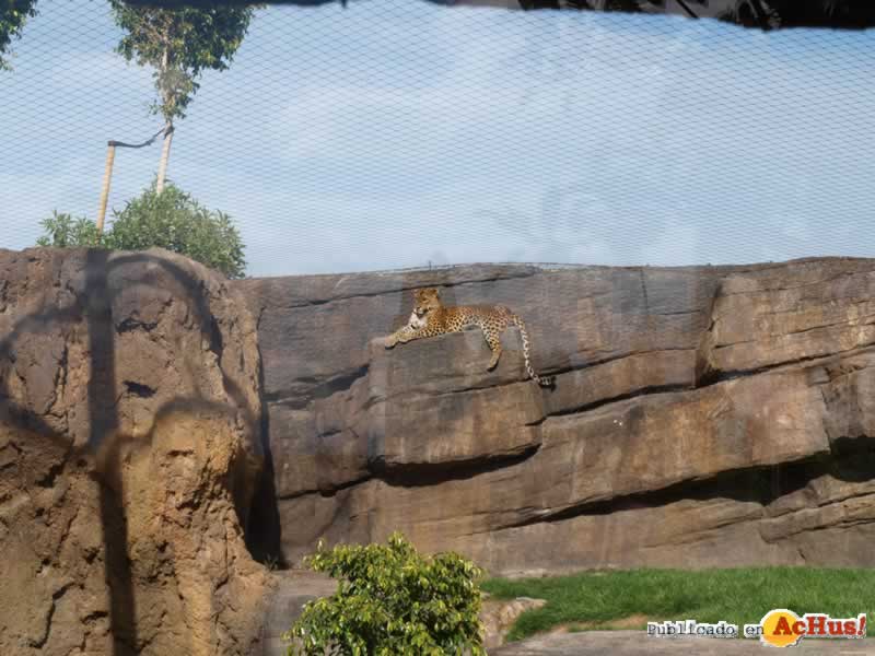 Bioparc 147