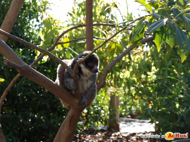 Bioparc 159