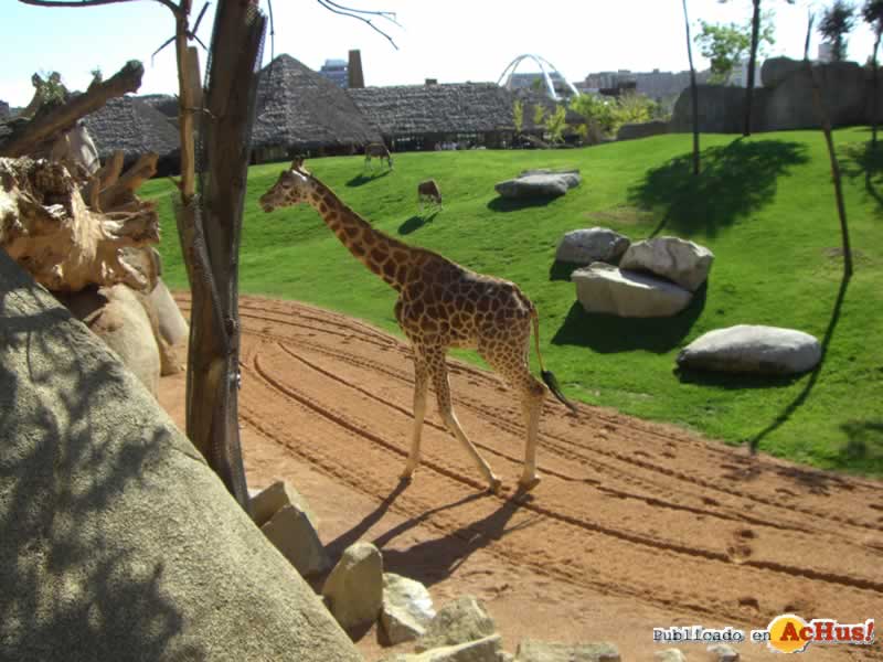Bioparc 16