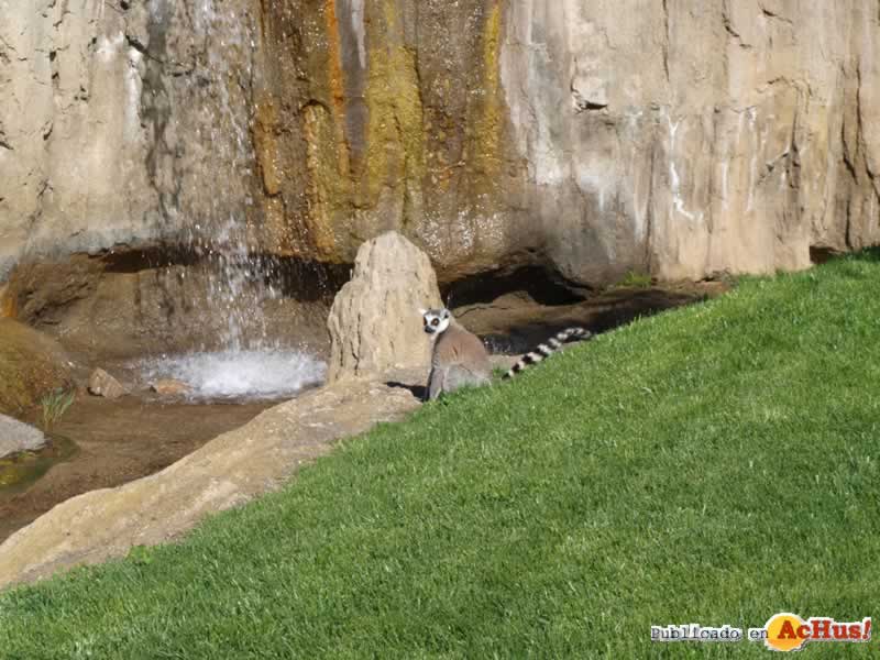 Bioparc 160