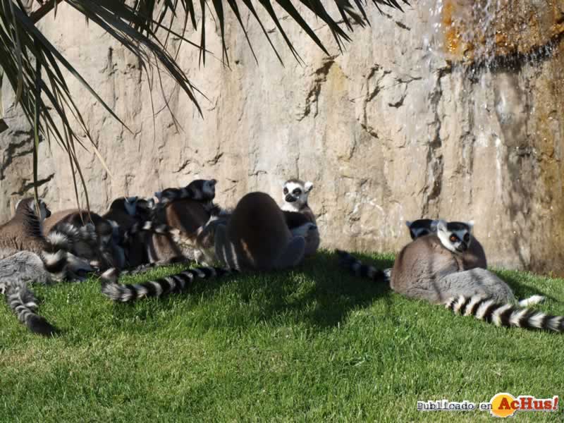 Bioparc 161