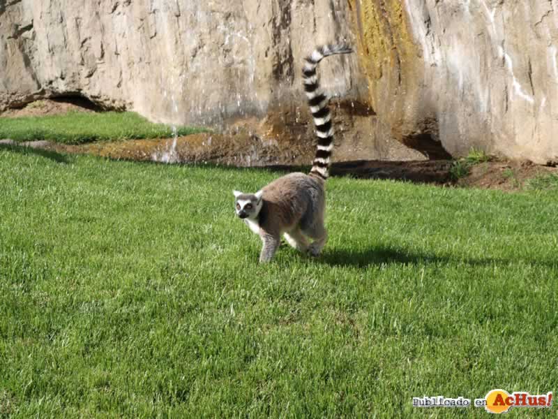 Bioparc 162