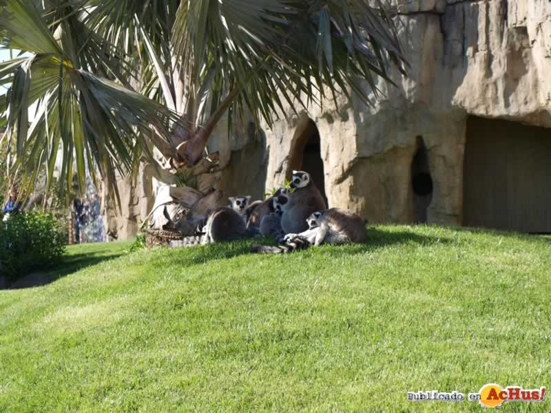 Bioparc 163