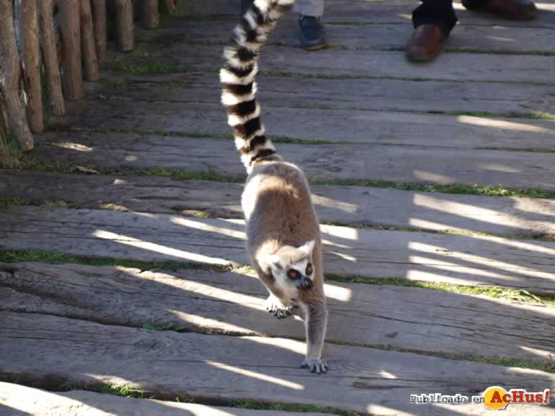 Bioparc 164